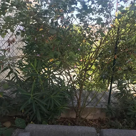 Matama Σπίτι διακοπών